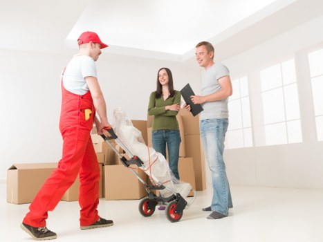 Commercial removals setup for an office move in Forestdale