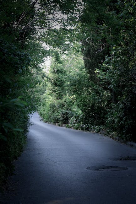 This image depicts a narrow residential street with a smooth asphalt surface, bordered on both sides by dense, green foliage from trees and bushes. The road curves gently into the distance, with dappled sunlight filtering through the leaves, creating a mix of light and shadow. In the foreground, a section of pavement shows slight wear with minor cracks. There are no vehicles or pedestrians visible. The setting suggests a quiet neighbourhood, potentially used by moving or removal vehicles when navigating local streets. The presence of lush greenery indicates a suburban or semi-rural area where house removals by Forestdale Removals may need to carefully manage access through such narrow streets during home relocation or furniture transport, emphasizing the importance of planning for moving logistics in constrained environments.