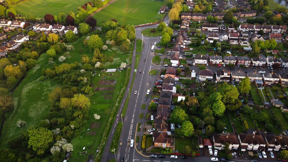 Aerial view of a residential area in Forestdale, showing a narrow street lined with parked cars on both sides, bordered by well-maintained houses with gardens, and a large green park with numerous trees and open grassy areas to the left. The park features pathways, small plots, and scattered blossom trees, with surrounding mature foliage providing a lush backdrop. The scene is captured in daylight with clear visibility of the urban and natural environments, illustrating the layout of a typical home neighbourhood, relevant for house removals and local moving services offered by Forestdale Removals.