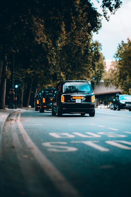 A row of black passenger vans parked along a street with a designated loading zone, featuring white painted markings on the pavement. The vans are lined up in front of a background of tall, leafy trees and urban infrastructure, including a bridge or overpass. The scene is captured during daylight hours with natural lighting. This image illustrates typical vehicle arrangements for home relocation or furniture transport services, as seen with Forestdale Removals, which often coordinate such vehicle access and adherence to pavement and vehicle regulations affecting moving logistics in Forestdale. The vans are positioned close to the pavement curb, indicating a loading or unloading process for household items, boxes, and furniture. The environment includes elements of street management and moving service preparation, relevant to discussions on parking and traffic regulation considerations for local house removals.
